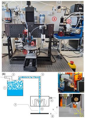 Digitally Driven Aerosol Jet Printing to Enable Customisable Neuronal Guidance